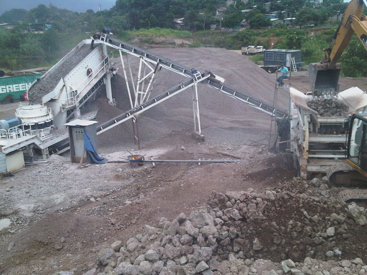 River stone plant